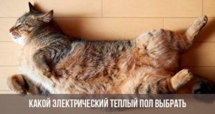 Кот на теплом полу